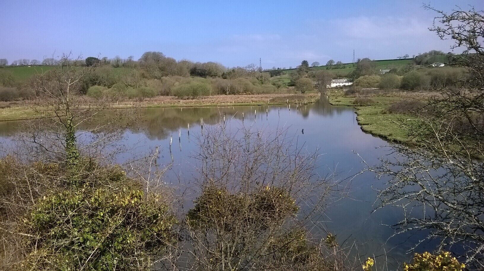 Salt Marsh Nature Reserve