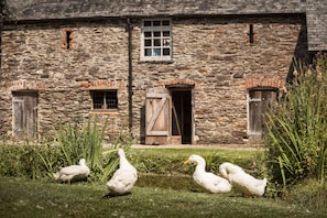 Experience the charm of a traditional building surrounded by a serene grassy area and a tranquil pond.