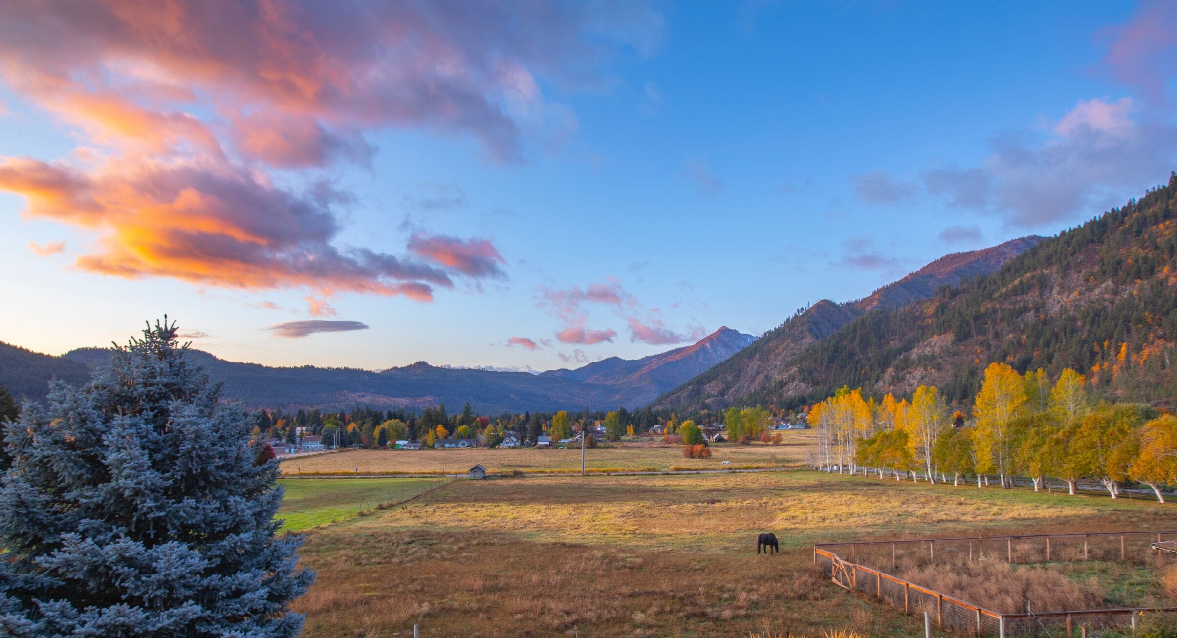 Un paysage rural avec des montagnes, un champ et un arbre.