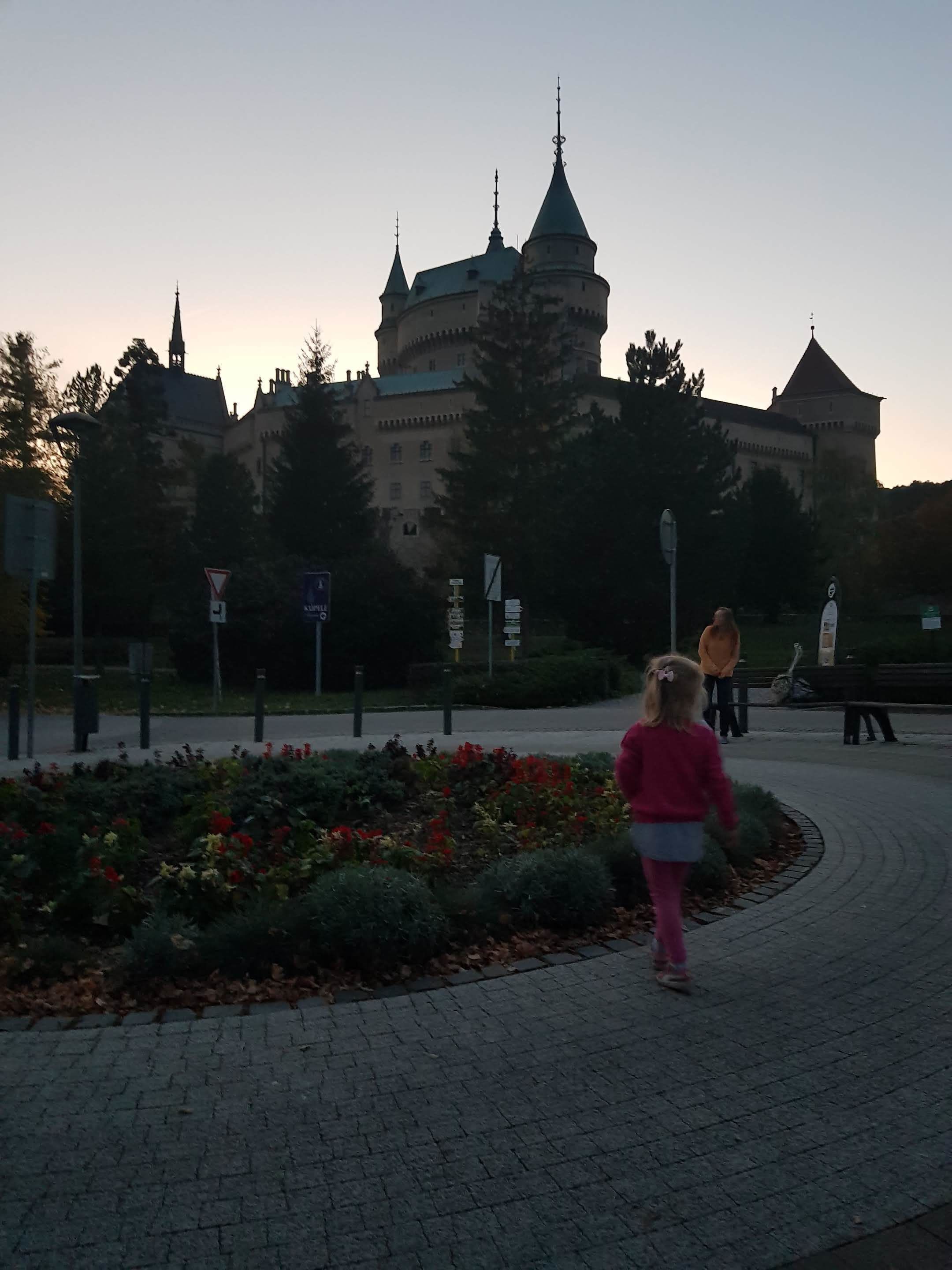 A castle-like building with multiple towers and a central dome, surrounded by a paved area with flower beds.