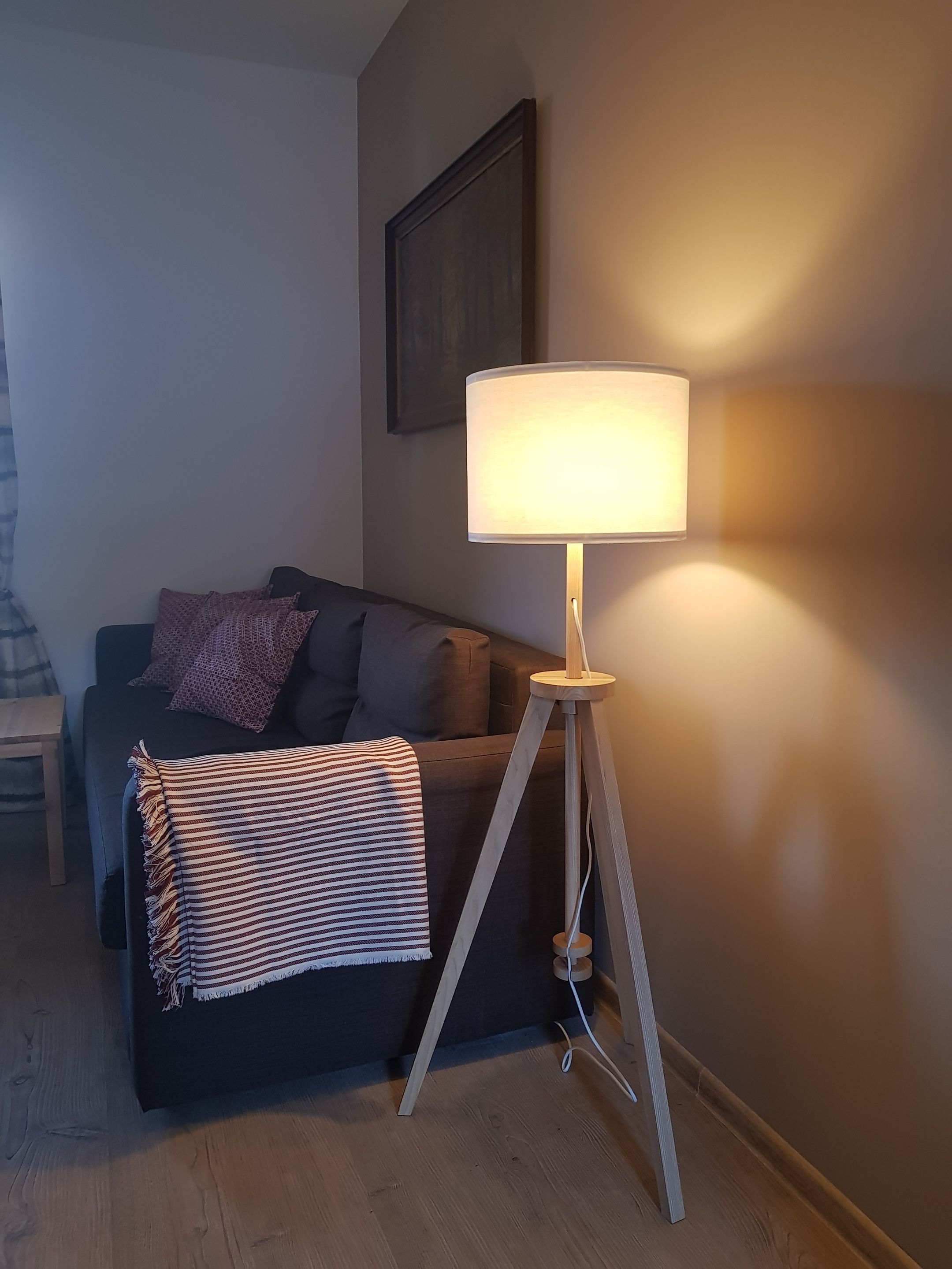 Una sala de estar acogedora con un sofá de color oscuro, una manta a rayas y una lámpara de pie que emite una luz suave.