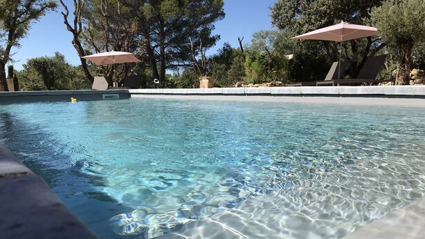 Piscina cristalina con vista a árboles y sillones de descanso al fondo.