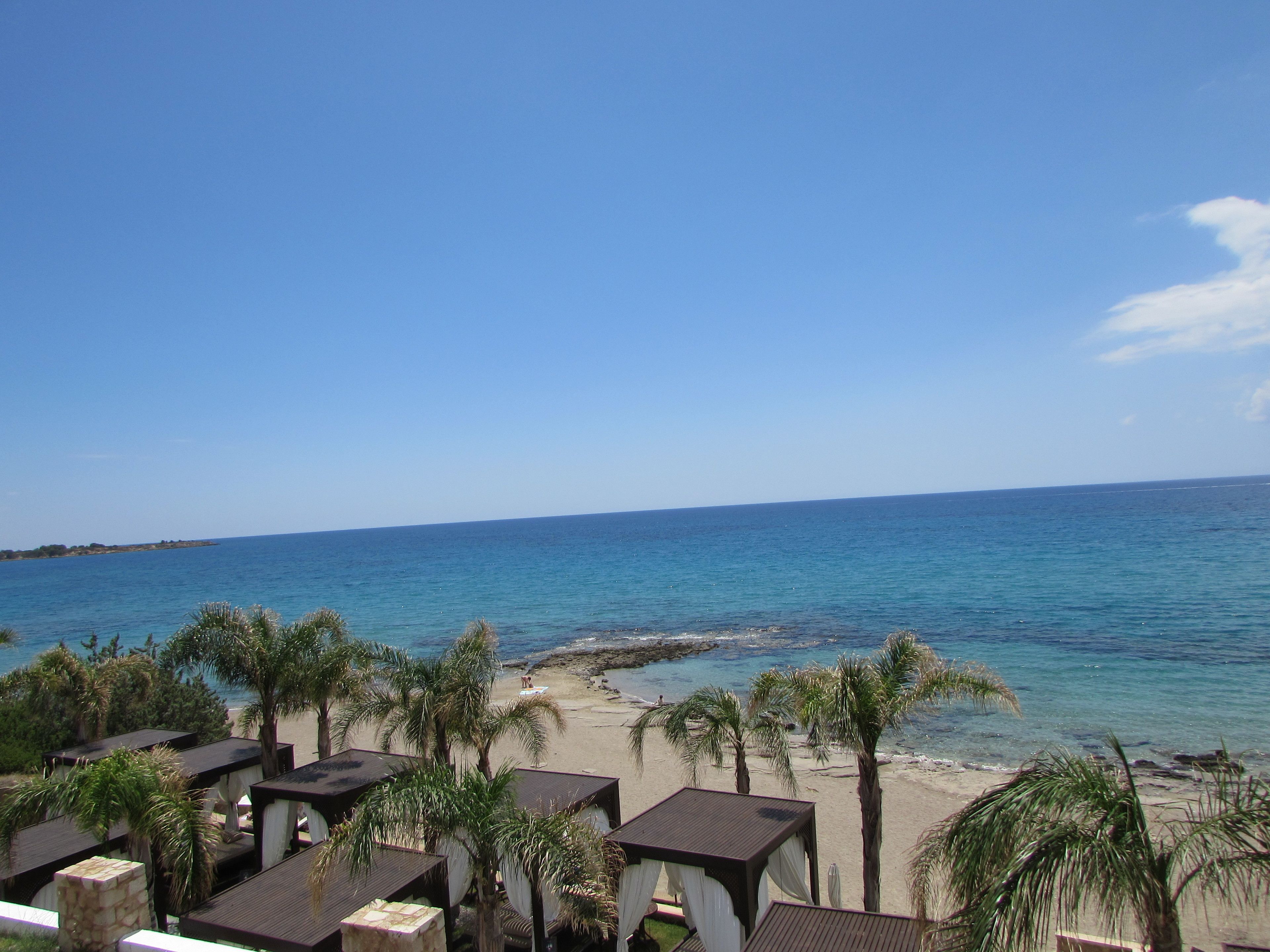 A beach view with clear blue water, palm trees, and beach huts.