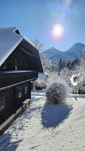 Immagine non classificata, 4 di 47, pulsante