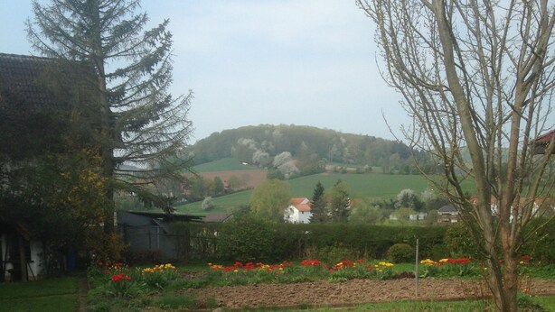 Uno stagno circondato da erba e alberi, con una collina sullo sfondo.