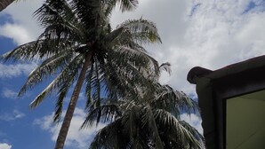 A palm tree against a partly cloudy sky. - Lemonia Holiday Resort (Langkawi)