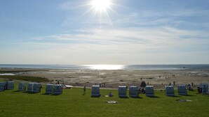 Une plage dotée d’espaces pour bronzer et de toilettes mobiles.
