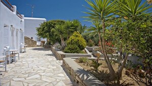 A courtyard with stone flooring, white buildings, and various plants including a prominent palm tree. - Evagelia's Place (Mykonos)