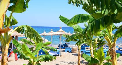 Stegna Star Apartments