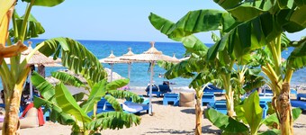 Stegna Star Apartments