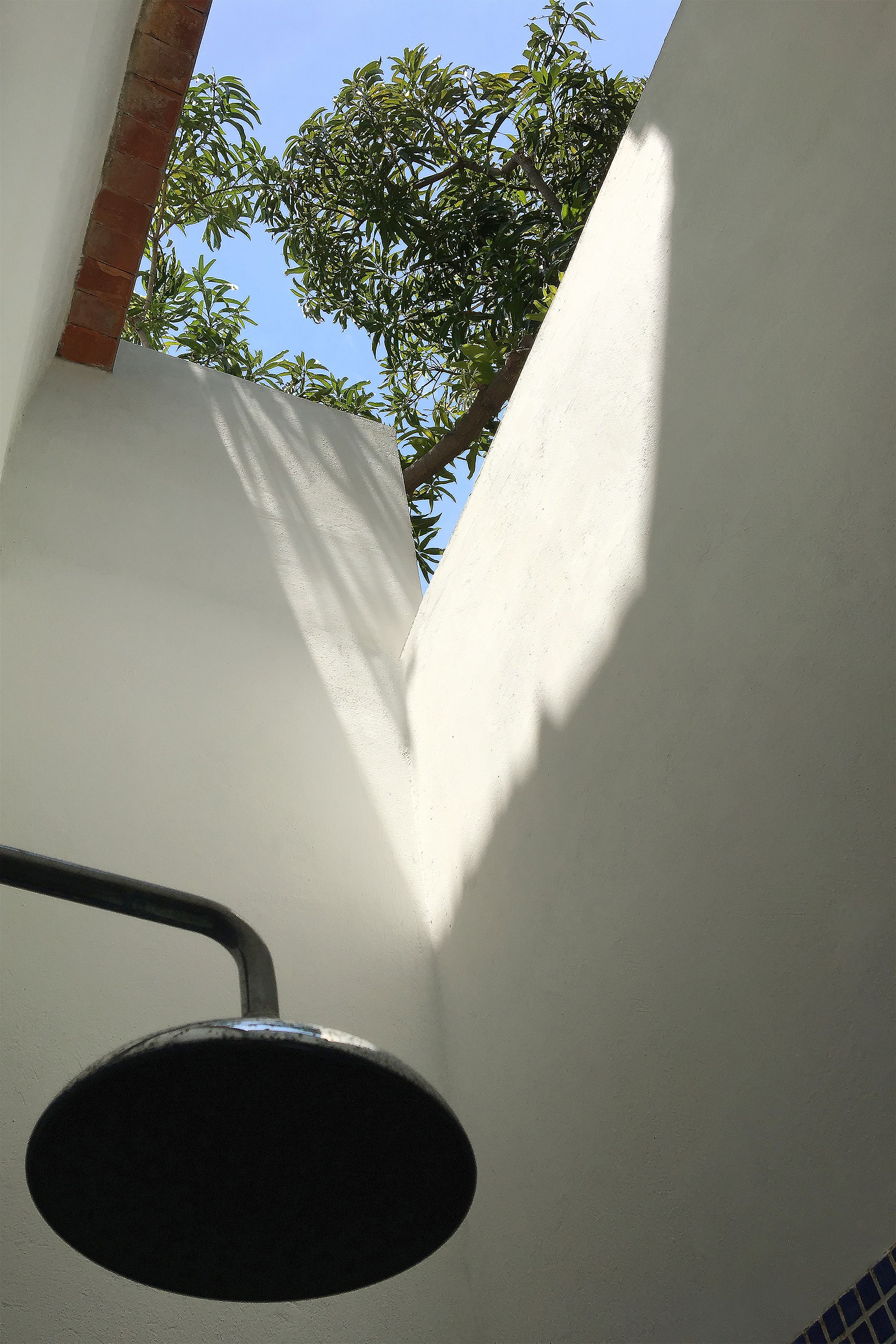A narrow corridor with a white wall and a tree casting shadows.