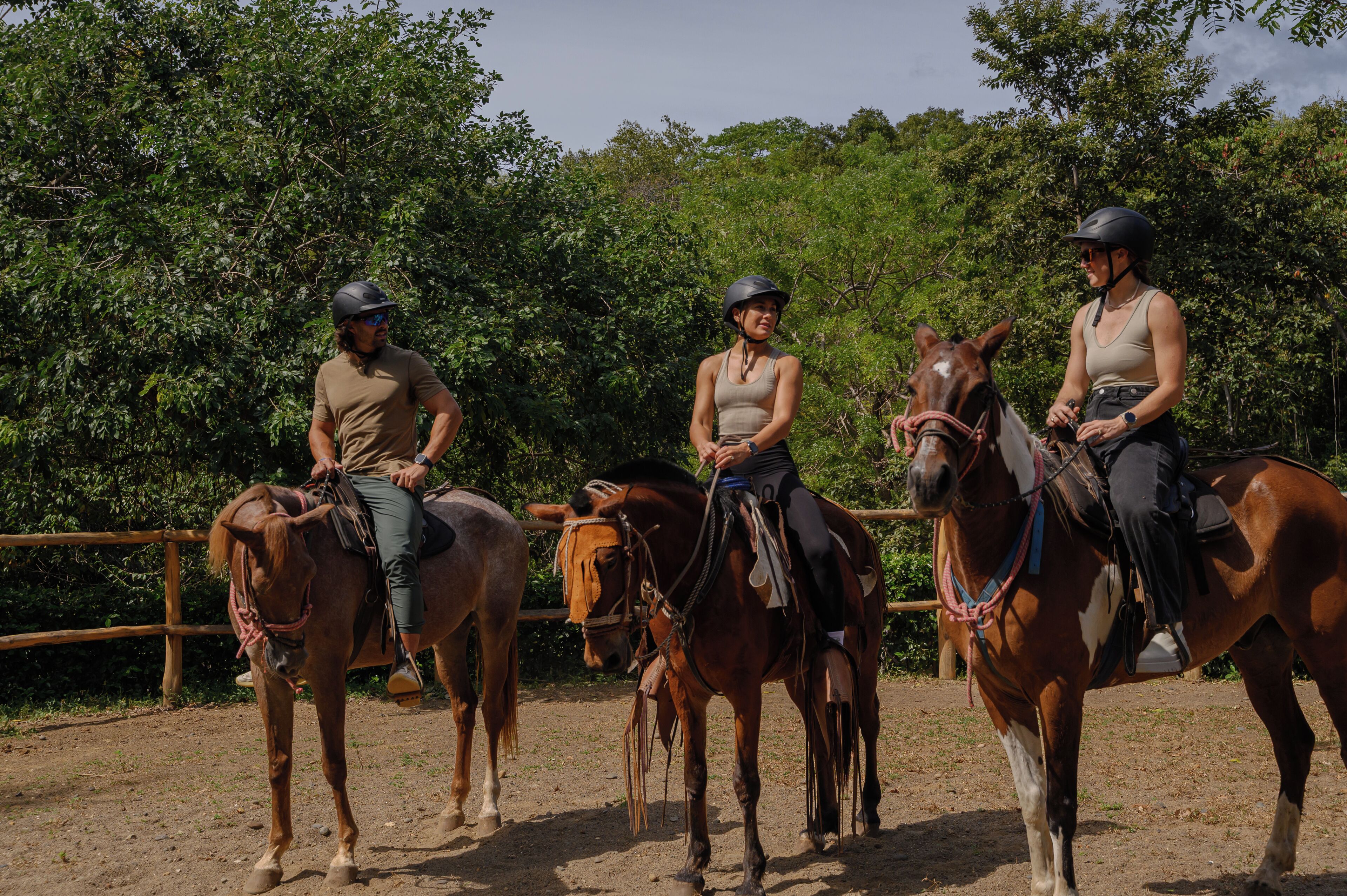 Paseos a caballo