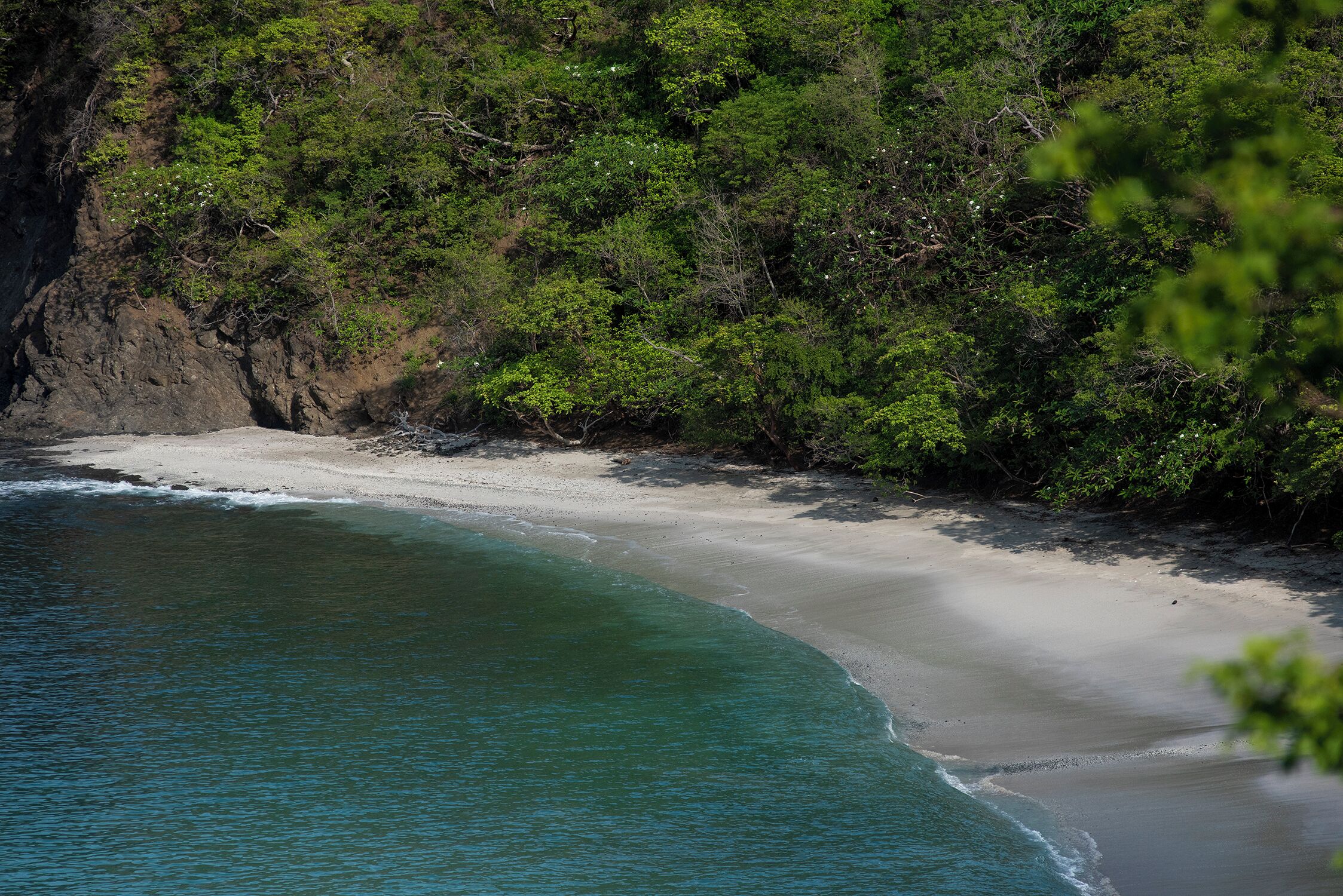 Eine Küstenlandschaft mit Sandstrand und dichtem Grün.