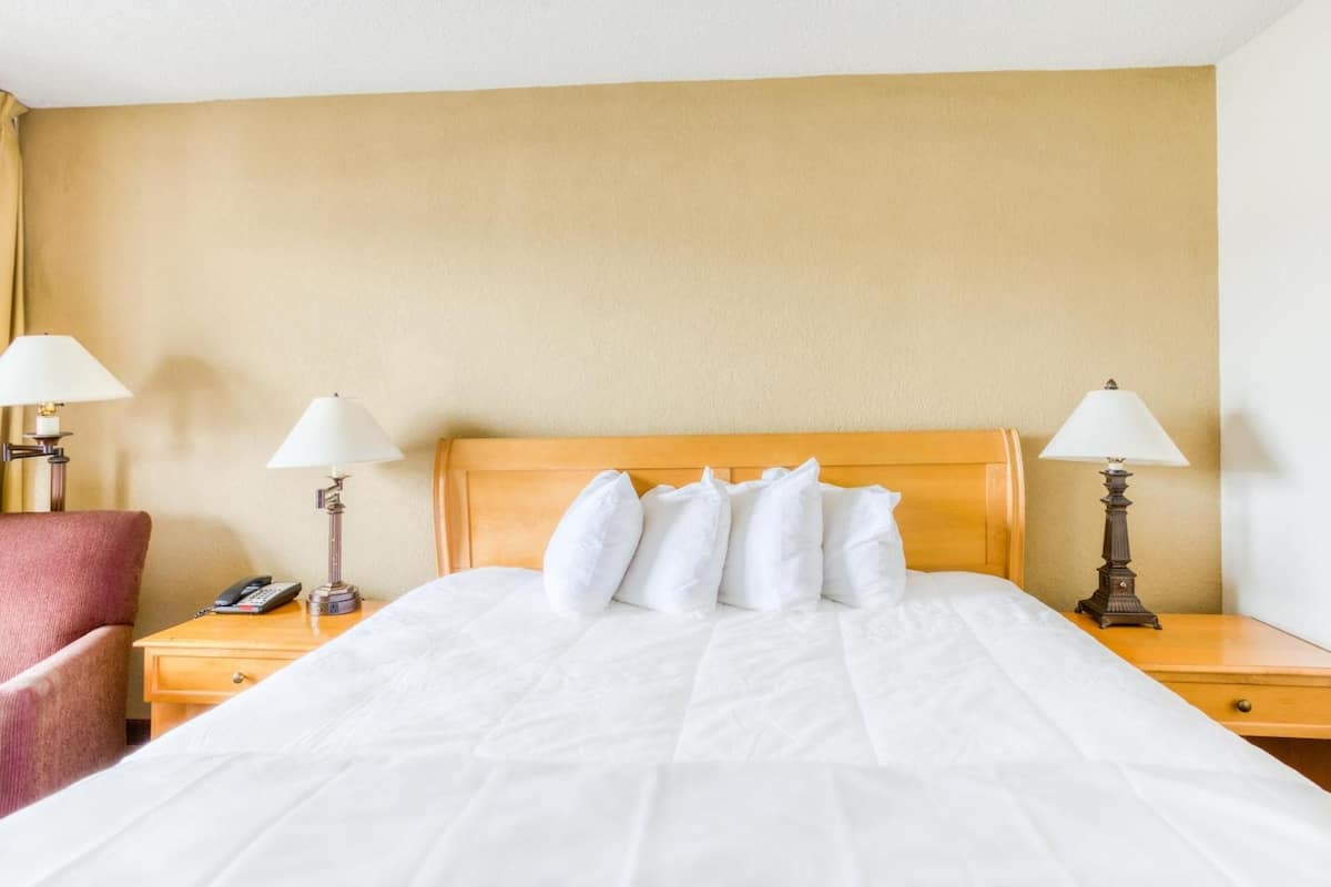 Desk, iron/ironing board, free WiFi