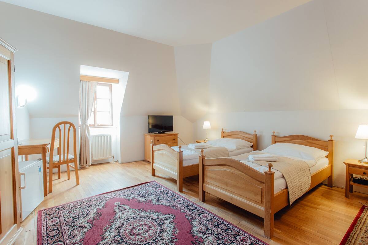 Large Twin Room