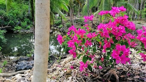 Un paisaje natural con una masa de agua, abundante vegetación y flores rosadas vibrantes.