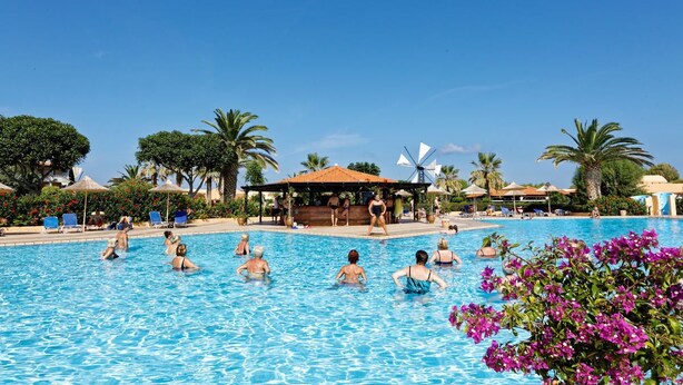 Una piscina con persone a nuoto, circondata da palme e lettini.