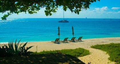 Enjoy your own private beach in this Amazing Luxury Beachfront property!!!