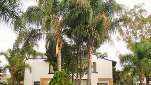 Unclassified image, 3 of 148, button - Villas Balvanera FH (Corregidora)