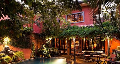 Villa Oasis: A luxury villa just steps to beach with private pool, WIFI & A/C