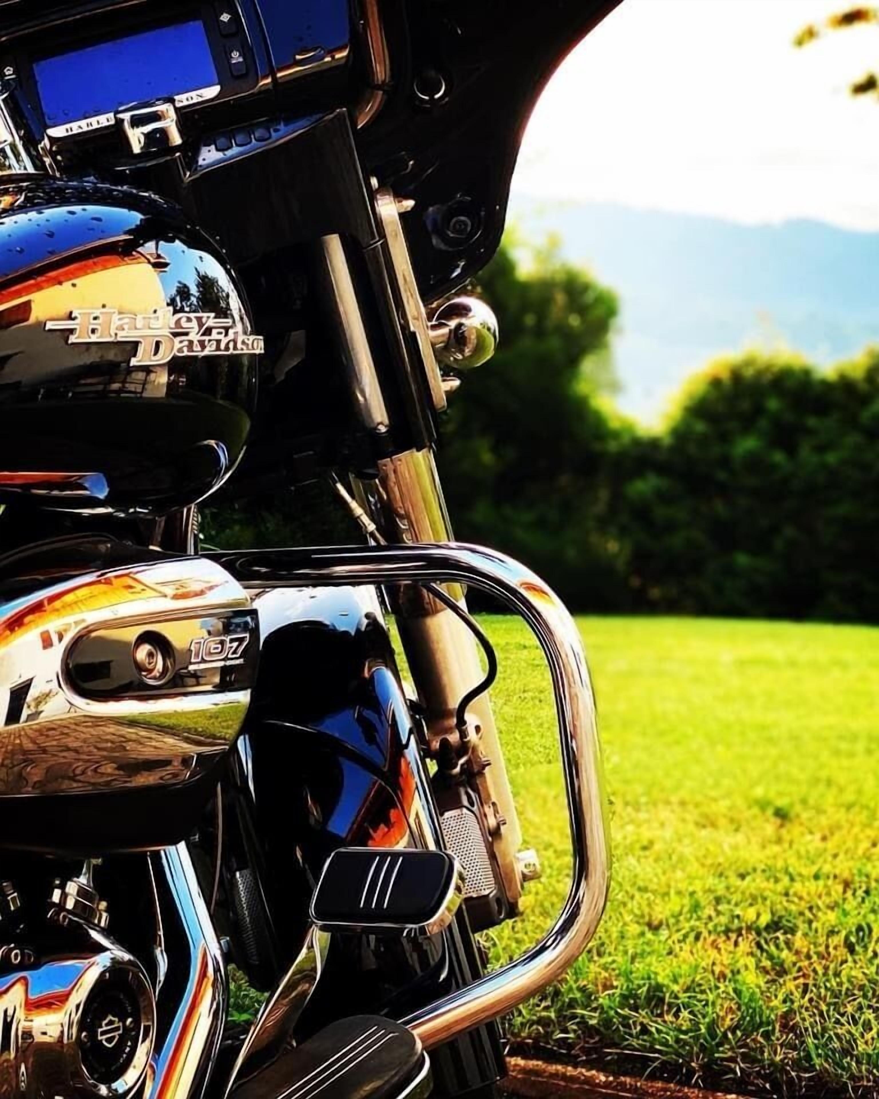 A motorcycle with a digital display and chrome accents, parked on grass with a blurred natural background.