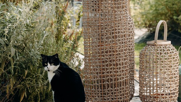 A black and white cat sitting on a wooden table with two wicker lanterns beside it. - La Villa d'Hélène Chambres d’hôtes et Appartements-Cluses (Cluses)
