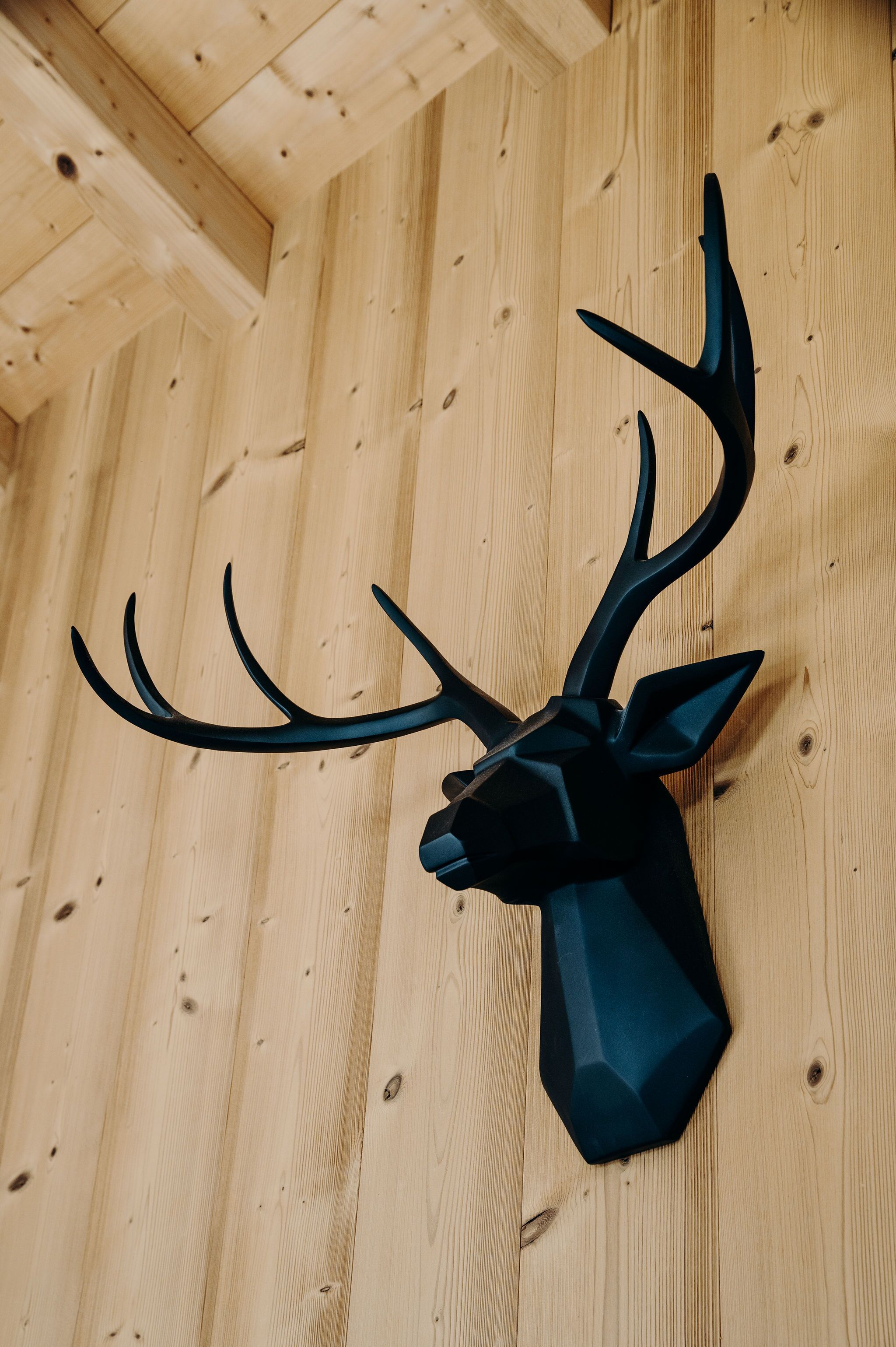 A wooden wall with a mounted deer head.