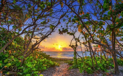 Practically on the beach; short walk across Carlin Park to the sand!! ❤️💛💚