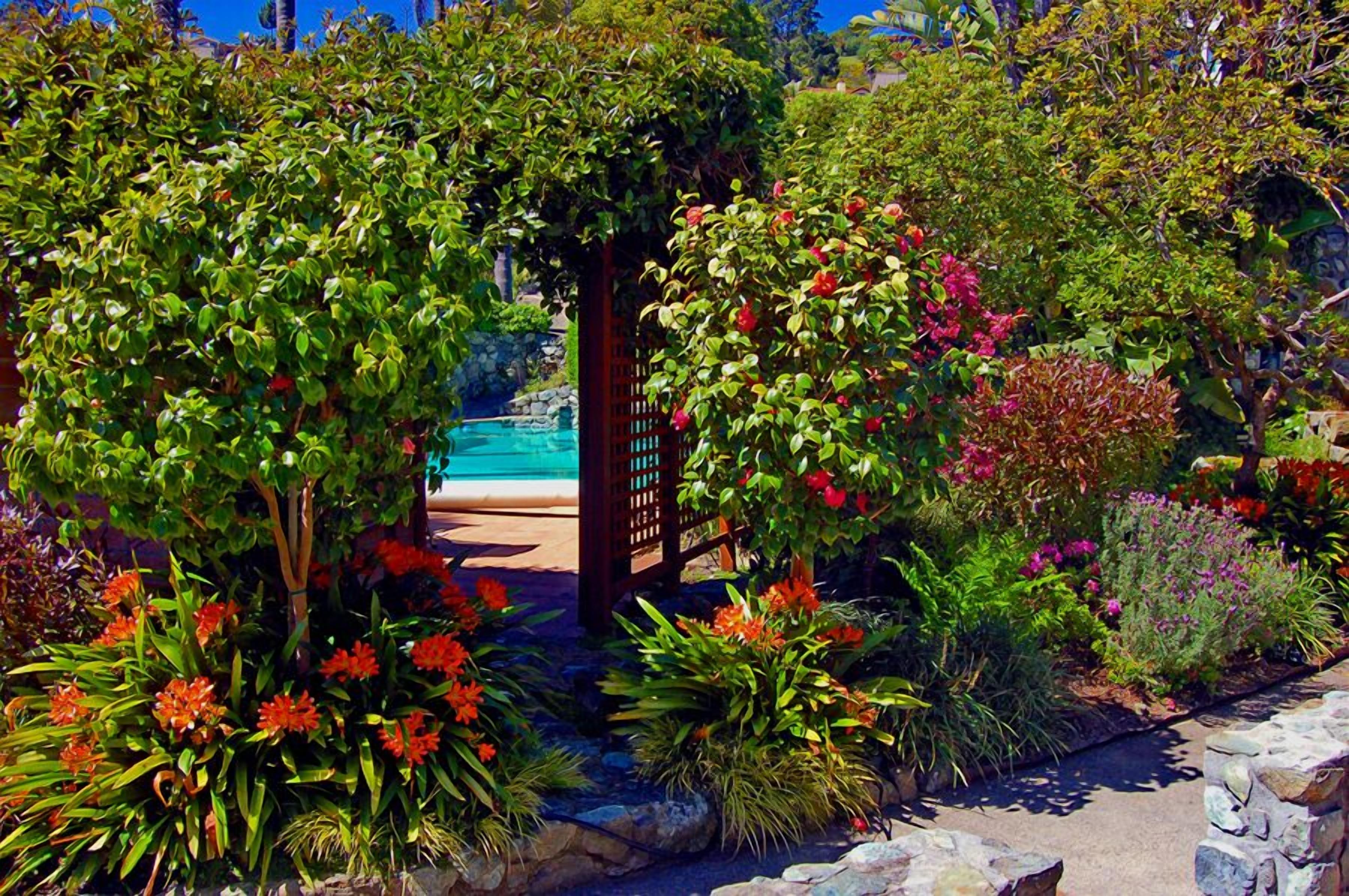 A garden with a wooden pergola, various plants, and a pool in the background.