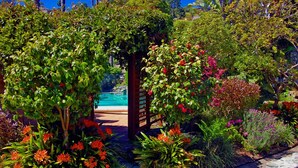 A garden with a wooden pergola, various plants, and a pool in the background.