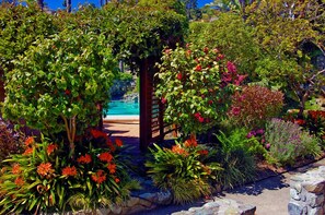 Un jardín con un porche de madera, diversas plantas y una piscina al fondo.