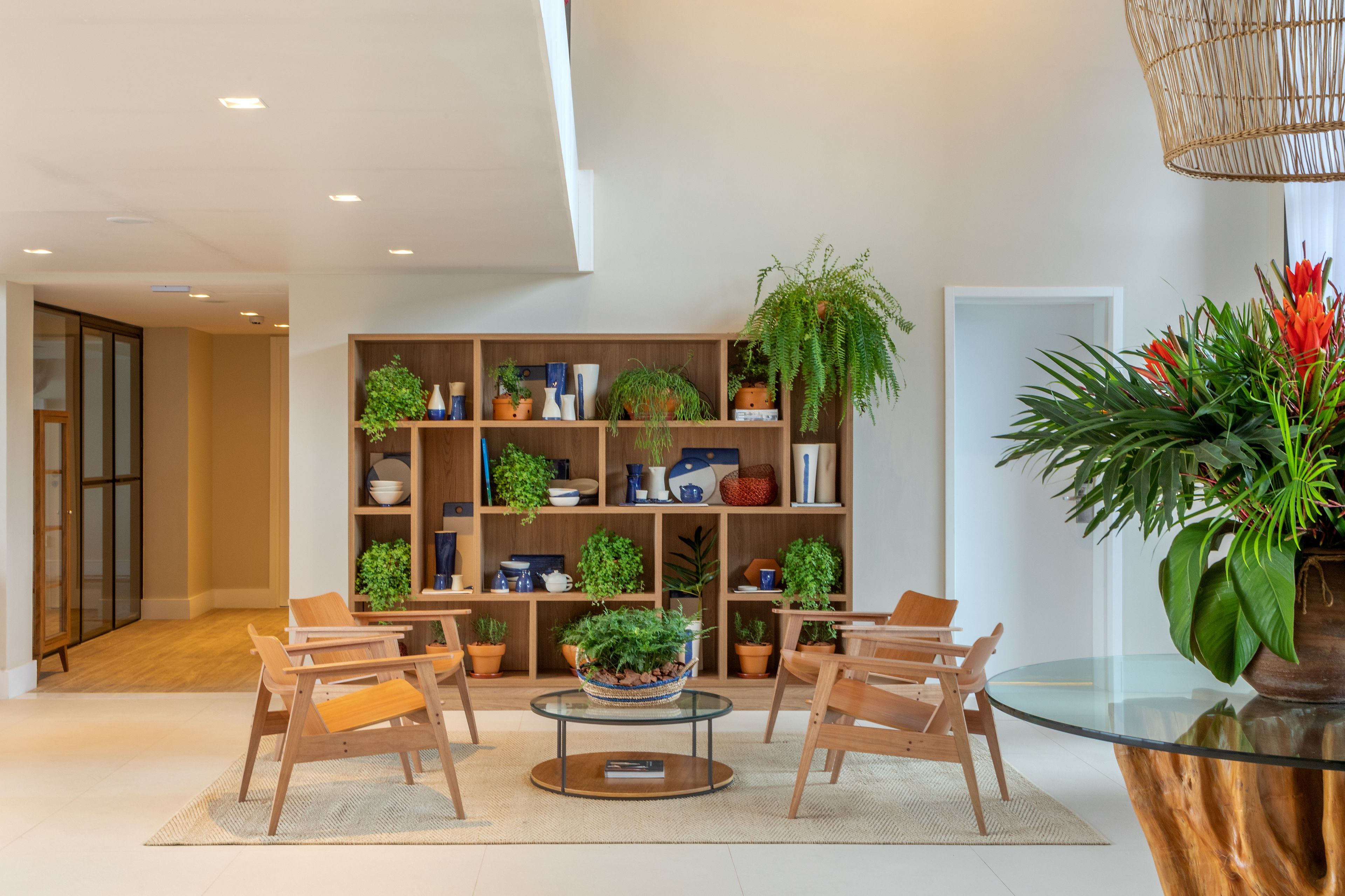 A modern living room with a glass coffee table, wooden chairs, a bookshelf with plants, and a large potted plant.