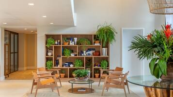A modern living room with a glass coffee table, wooden chairs, a bookshelf with plants, and a large potted plant.