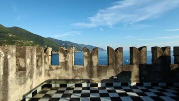 Luxury Villa, 3 Bedrooms | Terrace/patio