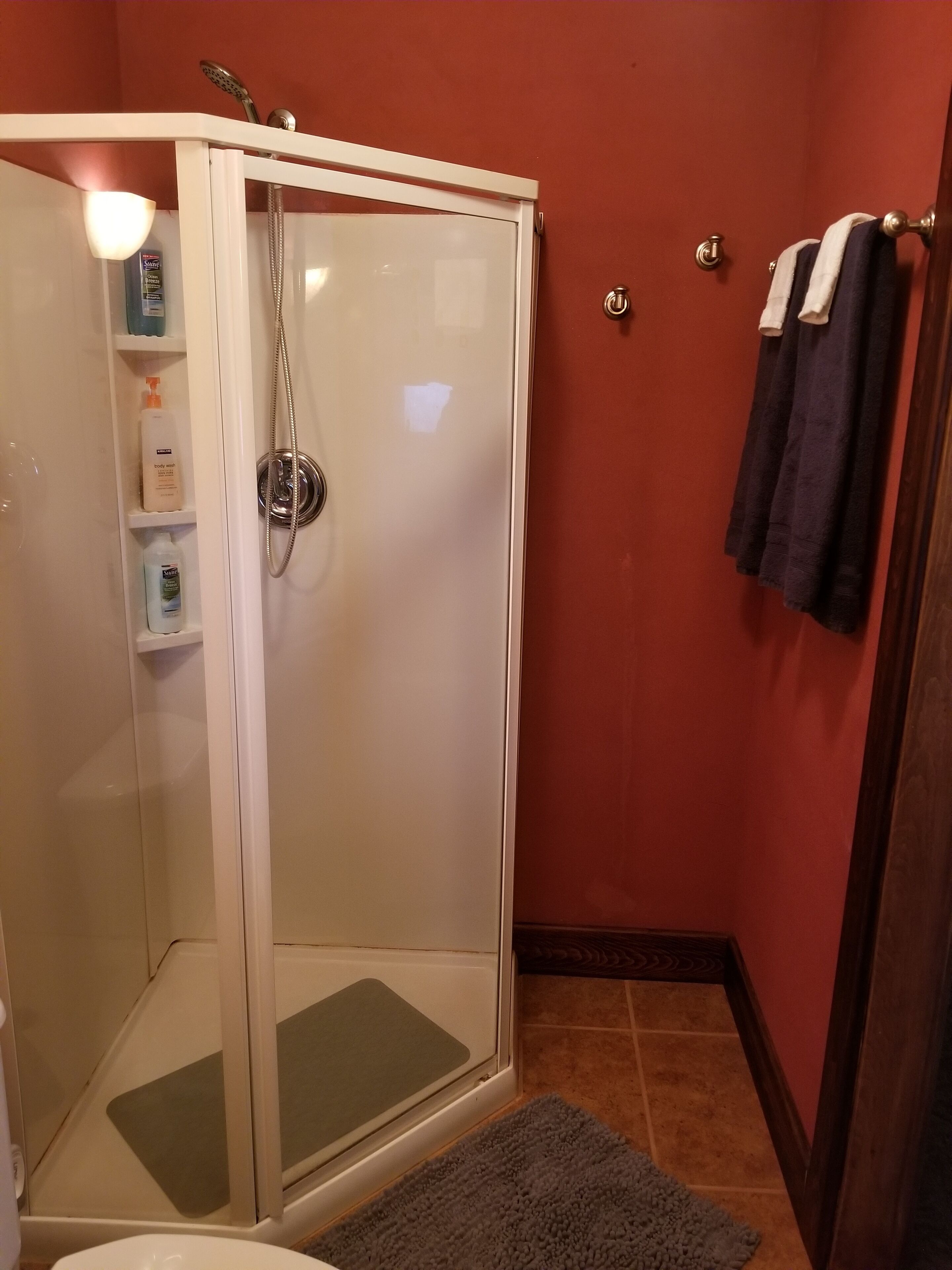 A bathroom with a glass shower enclosure, a toilet, and a towel rack.