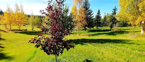 Vista desde la propiedad