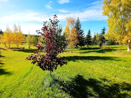 Vista desde la propiedad
