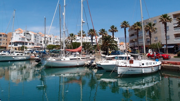 A marina with several sailboats docked, surrounded by buildings and palm trees.