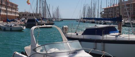 A marina with multiple boats docked, a clear sky, and buildings in the background.