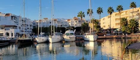Marina con varios barcos amarrados, rodeada de edificios y palmeras.