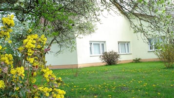 A building with two windows, a grassy lawn, and yellow flowering plants.