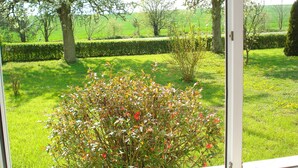 Blick durch ein Fenster auf einen Garten mit einer Hecke, einem Baum und einem Busch.