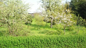 Ein Garten mit blühenden Bäumen und einer Rasenfläche.