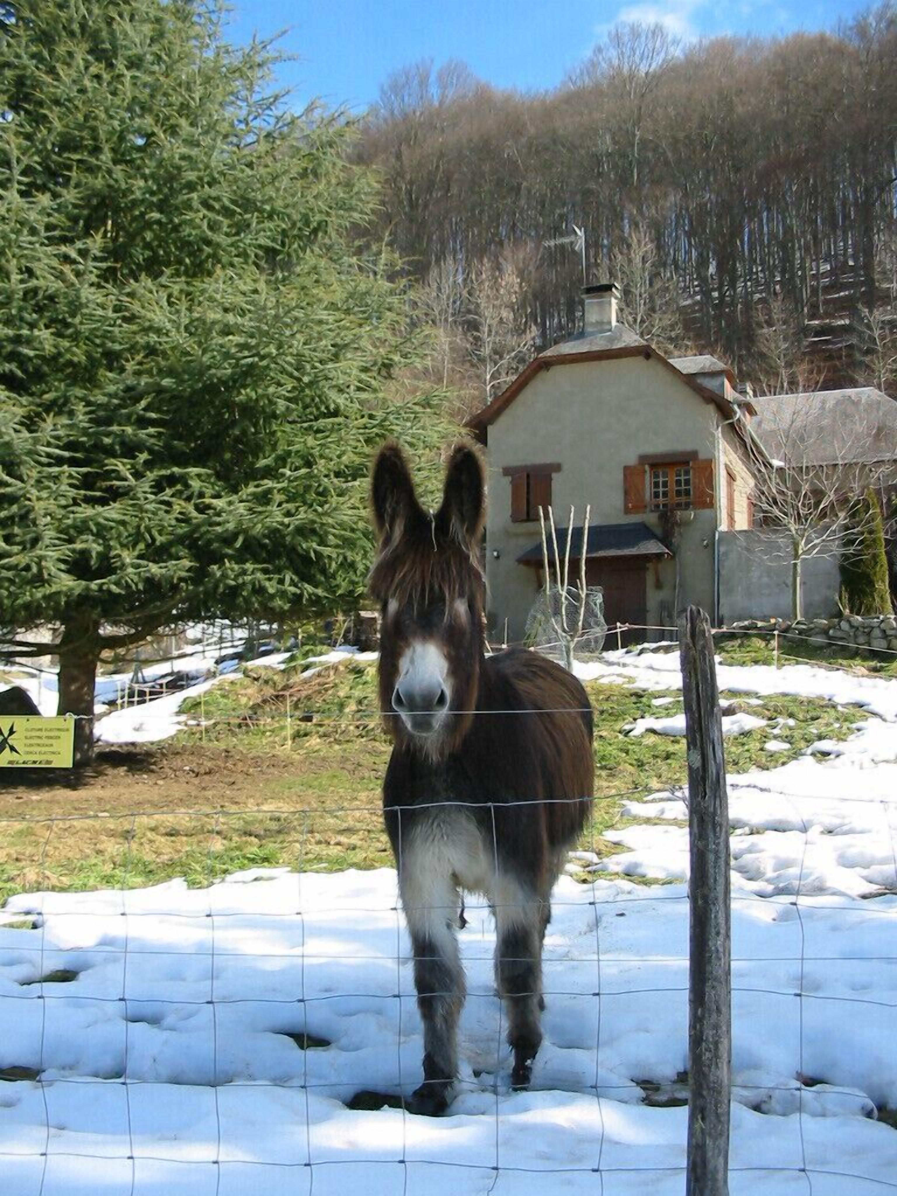 Unterkunftsgel ände