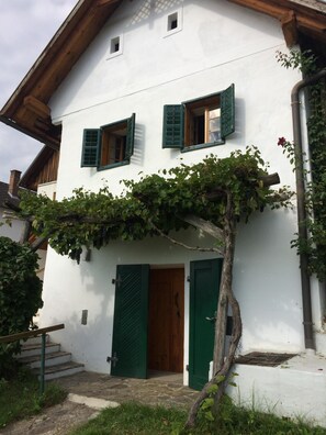 Exterior detail - Jewel in the vineyard overlooking Pannonian lowlands 6 people (Gaas)