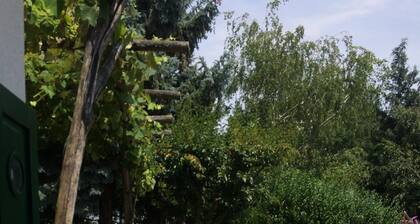 Jewel in the vineyard overlooking Pannonian lowlands 6 people