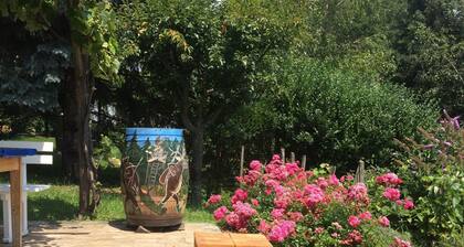 Joya en el viñedo con vistas a las tierras bajas panónicas 6 personas