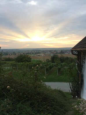 Property grounds - Jewel in the vineyard overlooking Pannonian lowlands 6 people (Gaas)