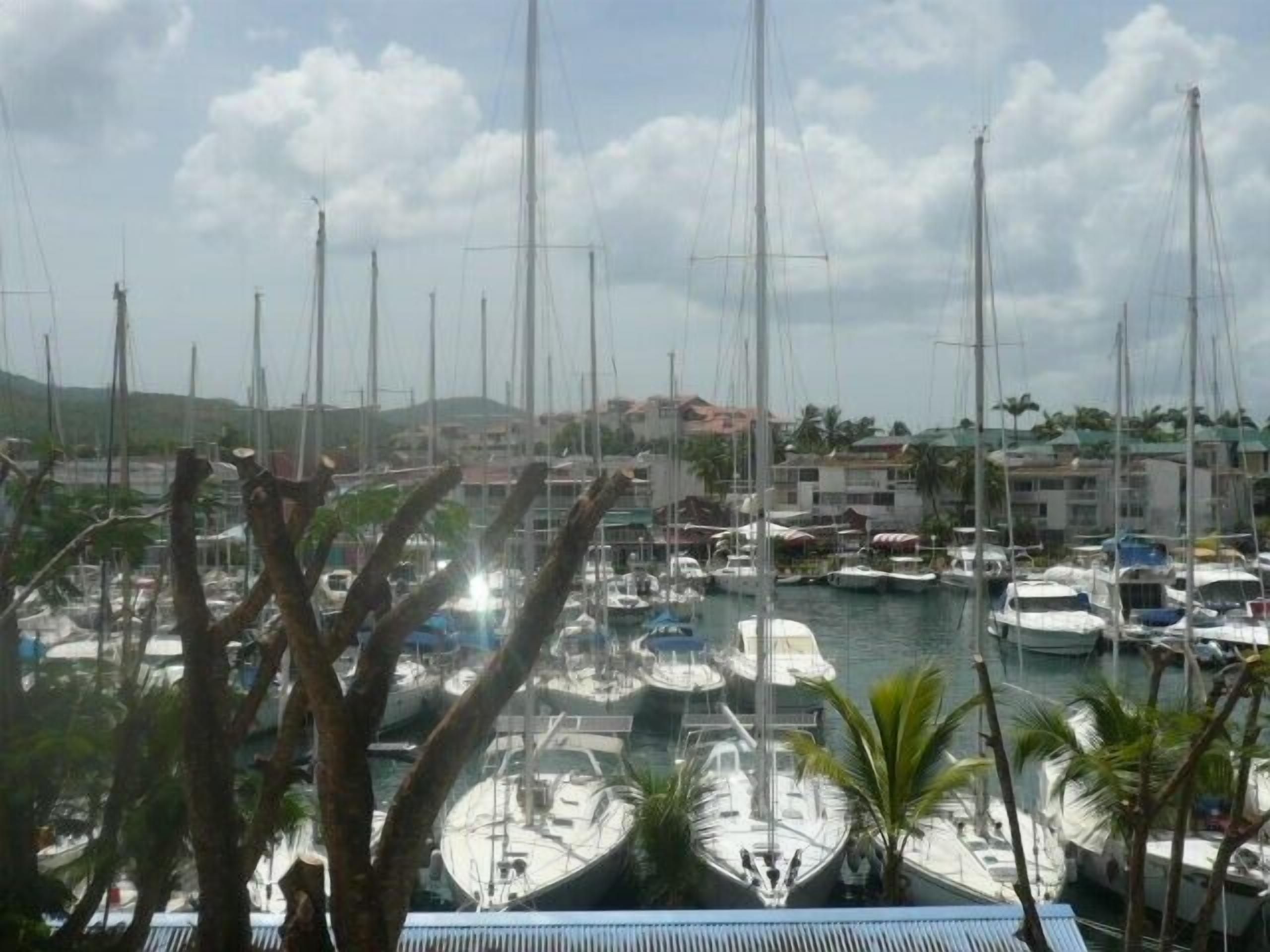 A marina with multiple boats docked, surrounded by buildings and palm trees.