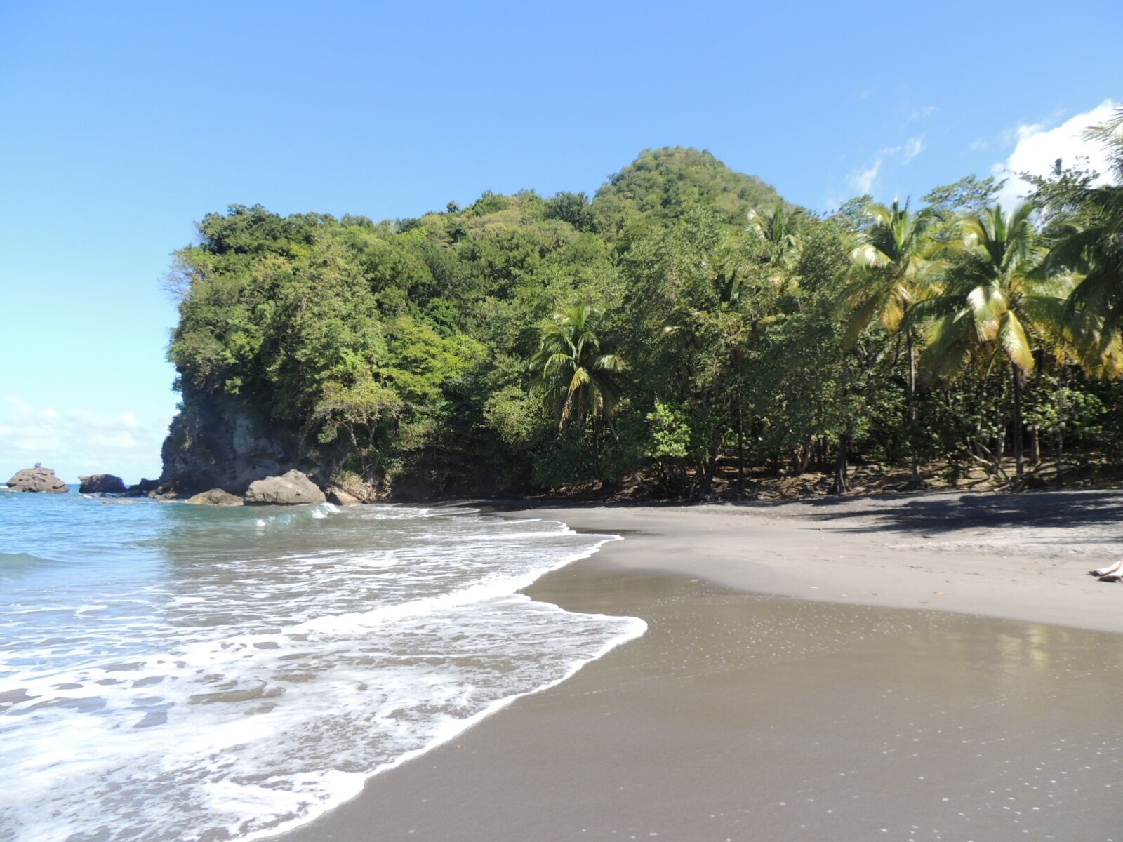 A beach with clear water, a sandy shore, and dense green foliage.